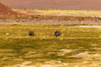 apr25_antafallaelpenon95_small.jpg