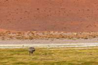 apr25_antafallaelpenon96_small.jpg