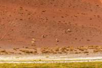 apr25_antafallaelpenon98_small.jpg