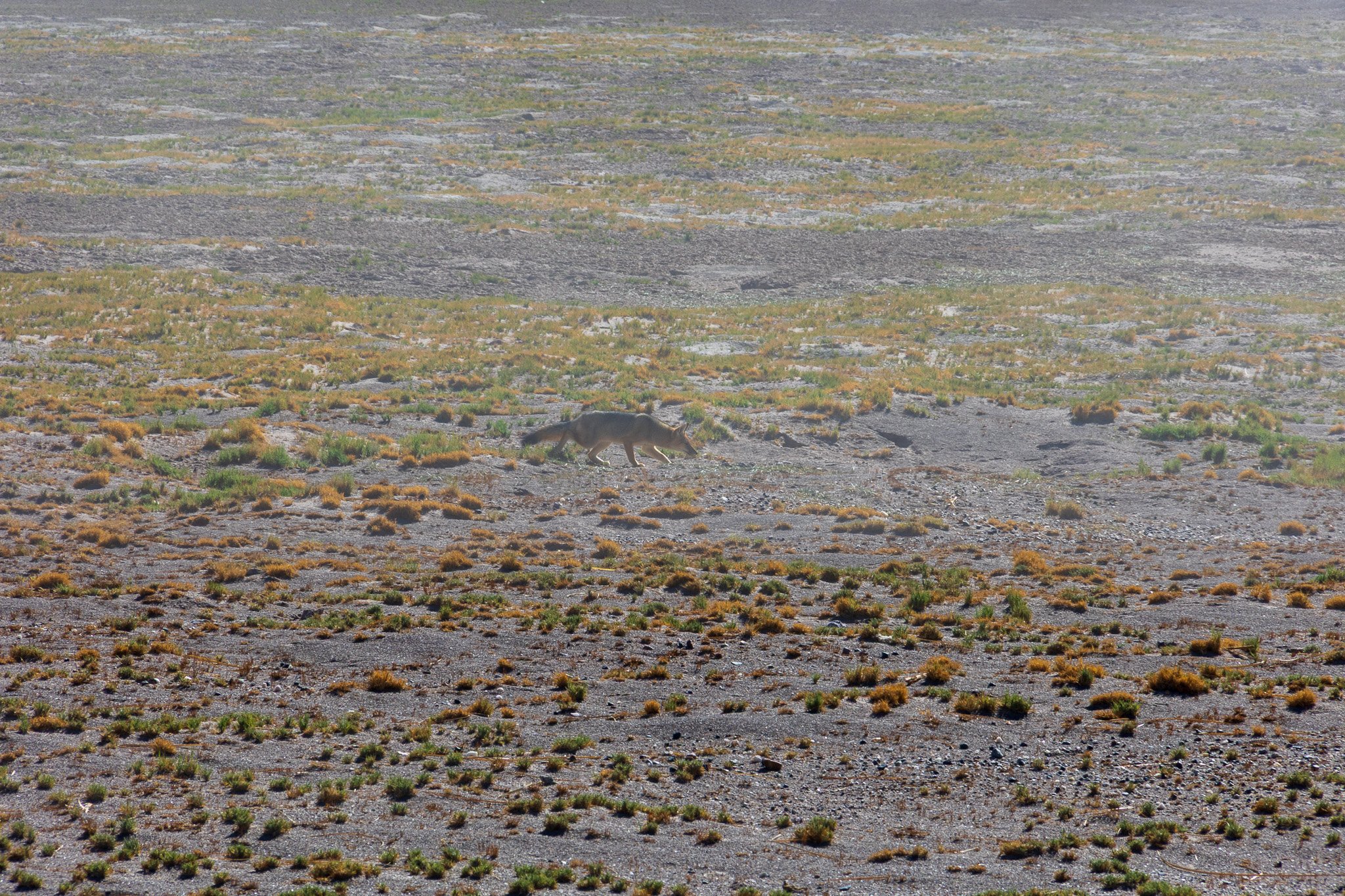 apr25_elpenonpiedrapomez105.jpg