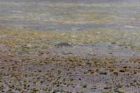 apr25_elpenonpiedrapomez105_small.jpg
