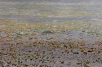 apr25_elpenonpiedrapomez106_small.jpg