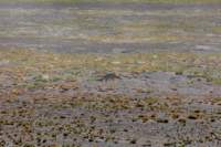 apr25_elpenonpiedrapomez107_small.jpg