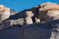 apr25_elpenonpiedrapomez142_small.jpg
