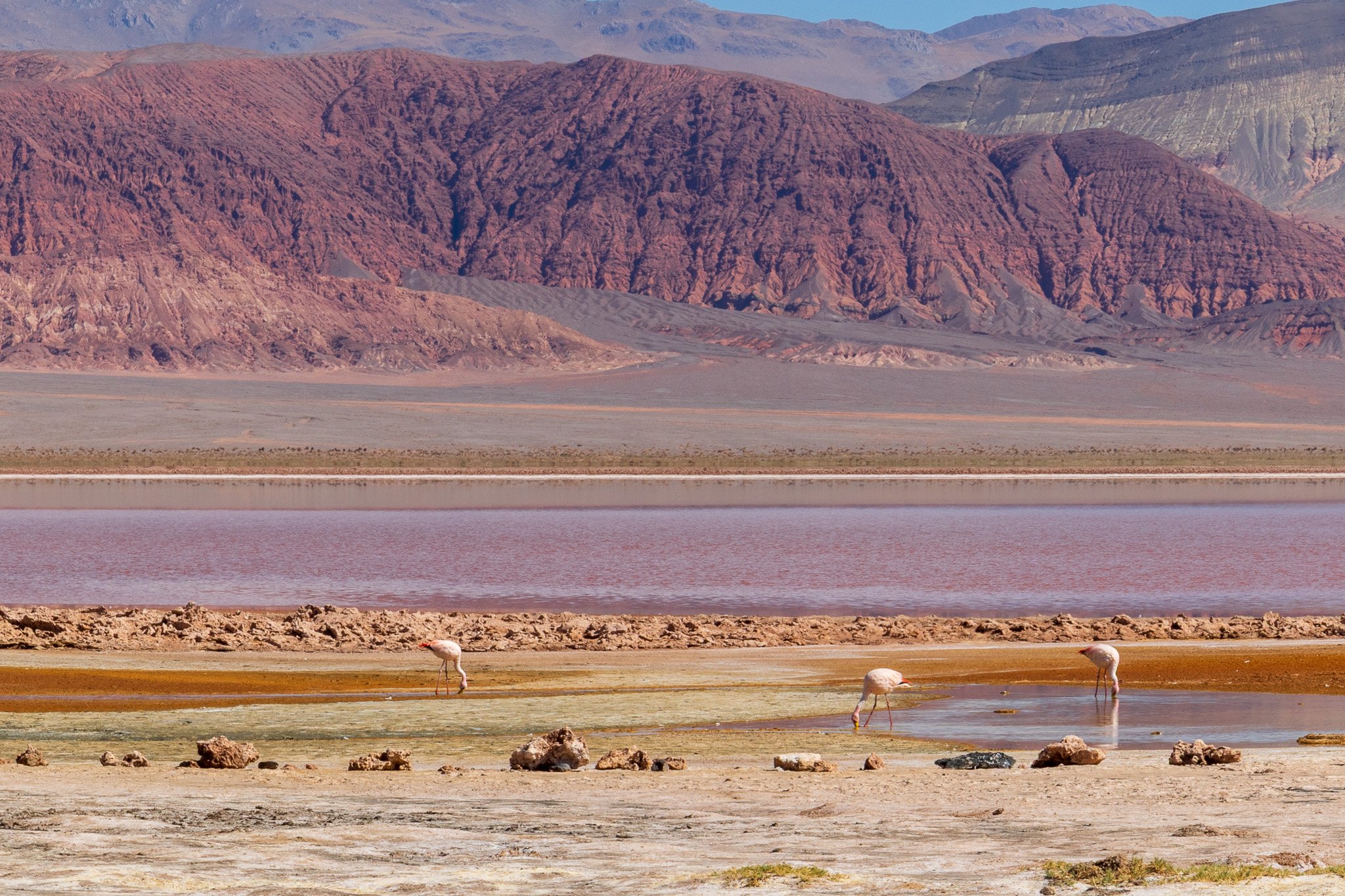 apr25_elpenonpiedrapomez56.jpg
