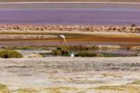 apr25_elpenonpiedrapomez57_small.jpg
