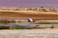 apr25_elpenonpiedrapomez58_small.jpg