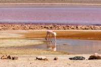 apr25_elpenonpiedrapomez59_small.jpg