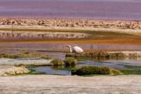 apr25_elpenonpiedrapomez60_small.jpg