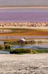 apr25_elpenonpiedrapomez61_small.jpg