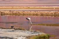 apr25_elpenonpiedrapomez69_small.jpg