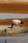 apr25_elpenonpiedrapomez76_small.jpg