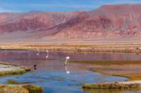 apr25_elpenonpiedrapomez80_small.jpg