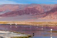 apr25_elpenonpiedrapomez81_small.jpg