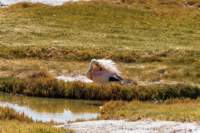 apr25_elpenonpiedrapomez88_small.jpg