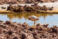 apr25_elpenonpiedrapomez89_small.jpg