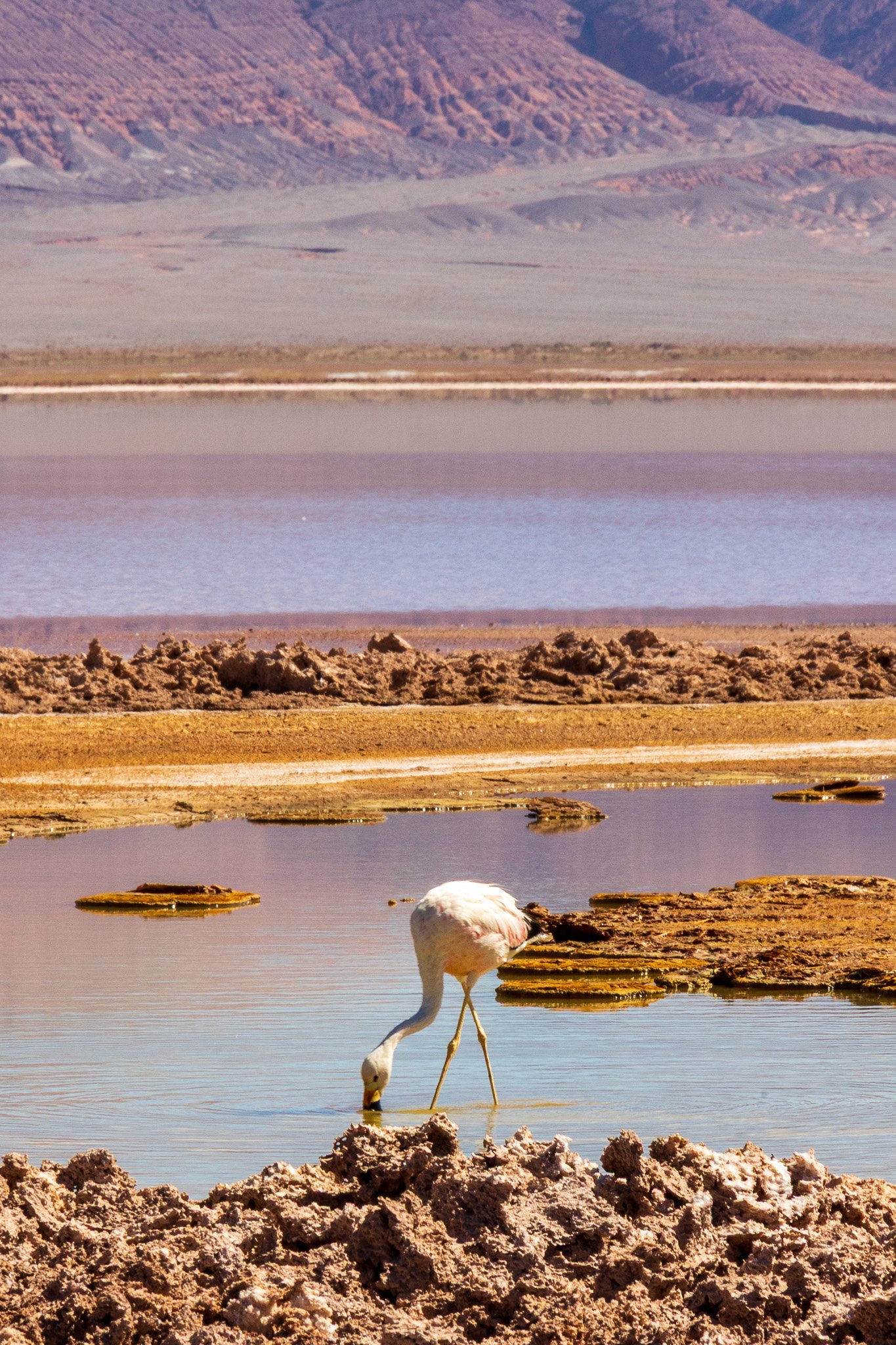 apr25_elpenonpiedrapomez90.jpg