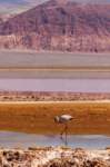 apr25_elpenonpiedrapomez91_small.jpg