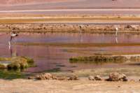 apr25_elpenonpiedrapomez92_small.jpg