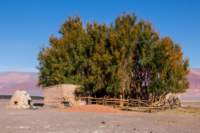 apr25_elpenonpiedrapomez_1_small.jpg