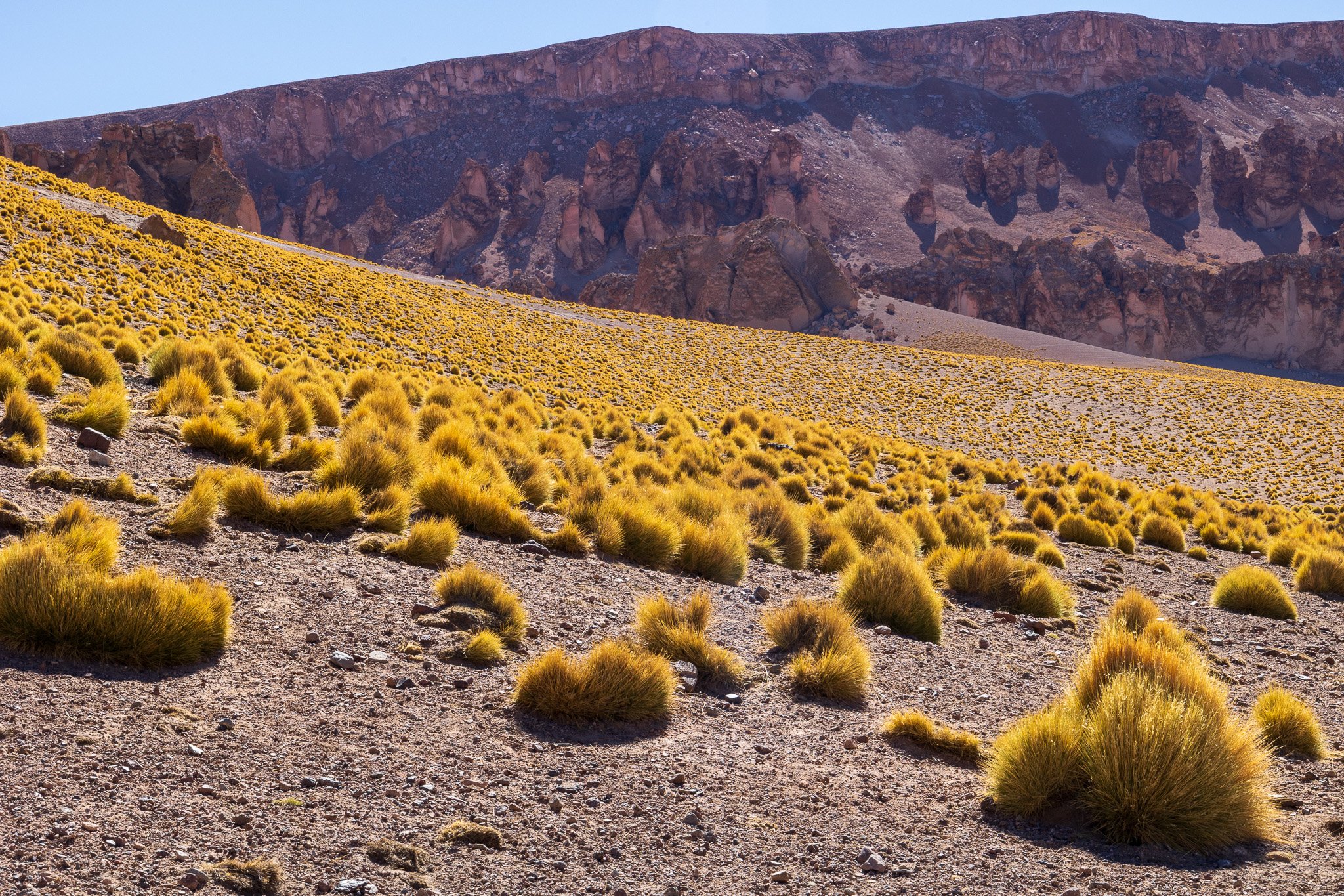 a09apr25_elpenongalan.jpg