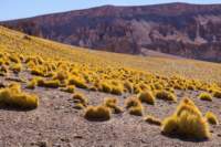 a09apr25_elpenongalan_small.jpg