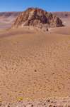 apr25_elpenongalan104_small.jpg
