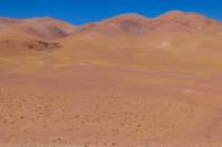 apr25_elpenongalan105_small.jpg