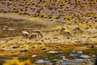 apr25_elpenongalan109_small.jpg