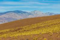 apr25_elpenongalan136_small.jpg