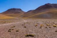 apr25_elpenongalan170_small.jpg