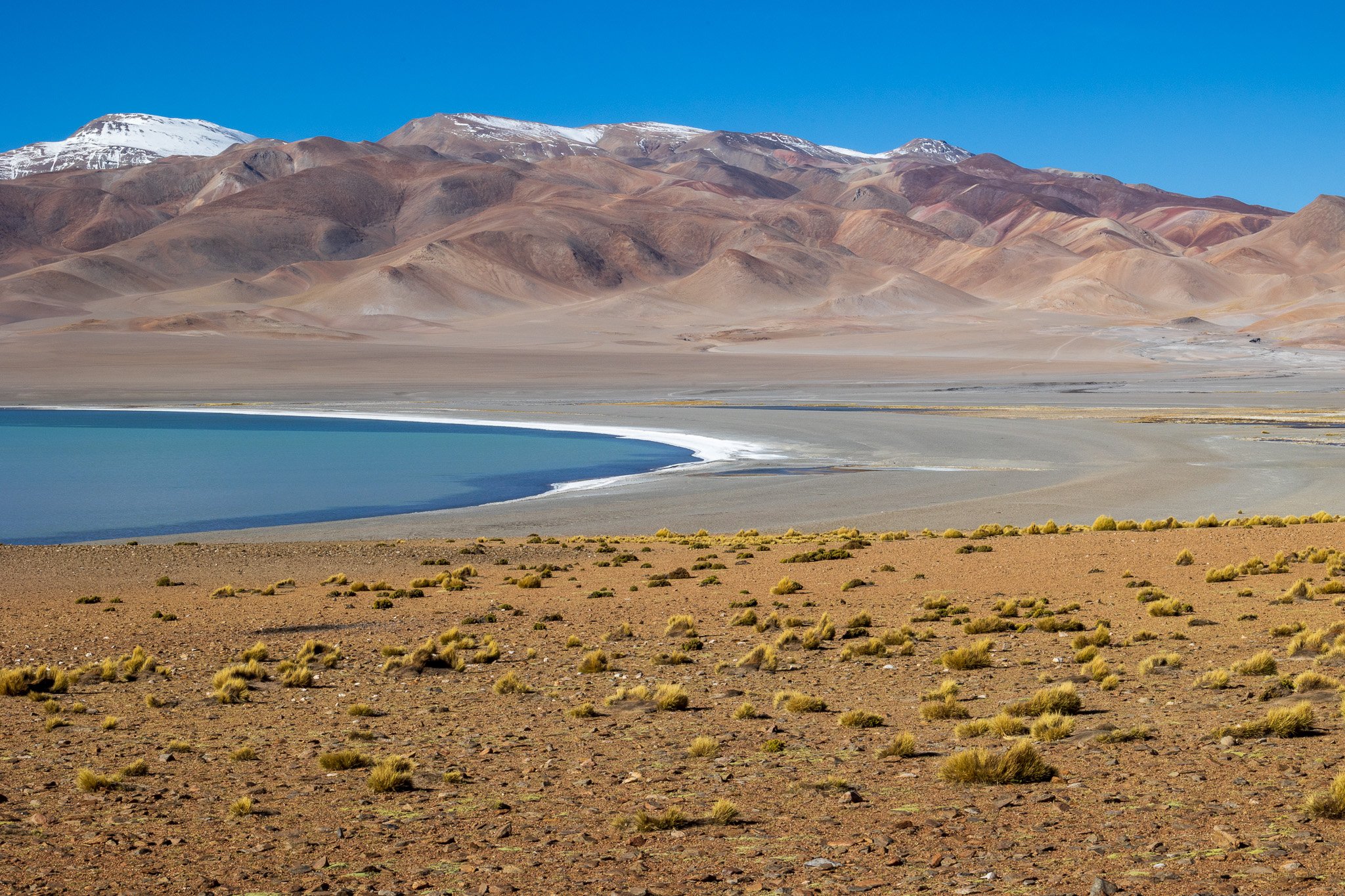 apr25_elpenongalan184.jpg