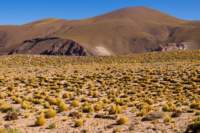 apr25_elpenongalan28_small.jpg