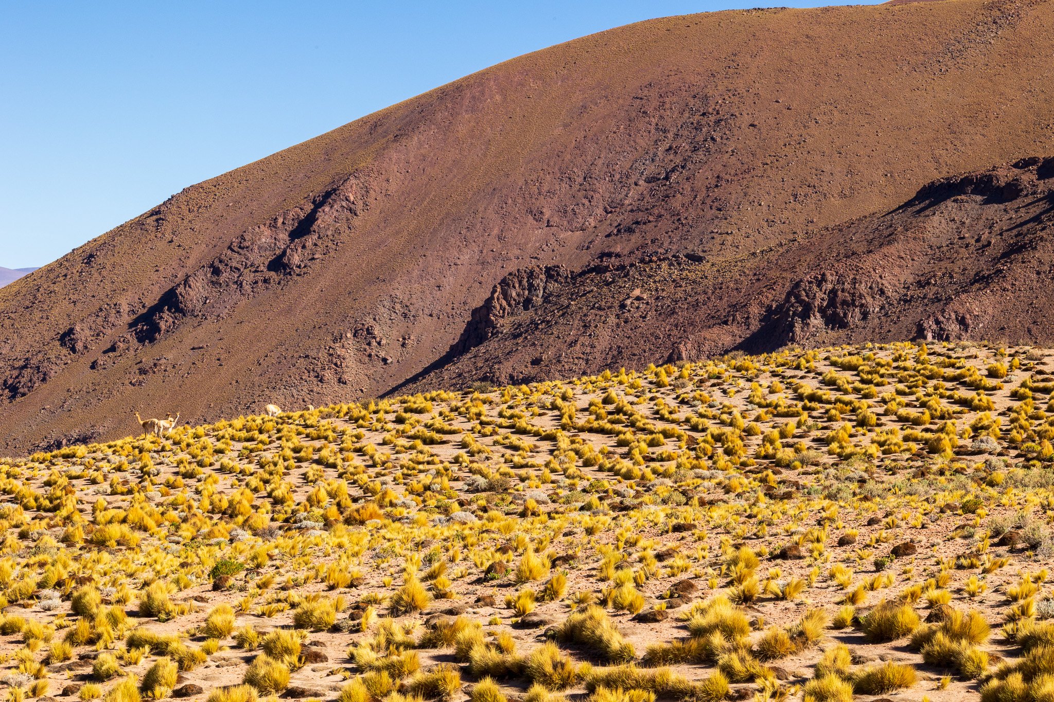 apr25_elpenongalan31.jpg