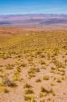 apr25_elpenongalan33_small.jpg