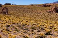apr25_elpenongalan34_small.jpg