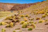 apr25_elpenongalan54_small.jpg