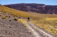 apr25_elpenongalan56_small.jpg