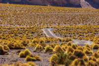 apr25_elpenongalan59_small.jpg
