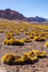 apr25_elpenongalan61_small.jpg