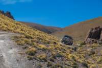 apr25_elpenongalan90_small.jpg