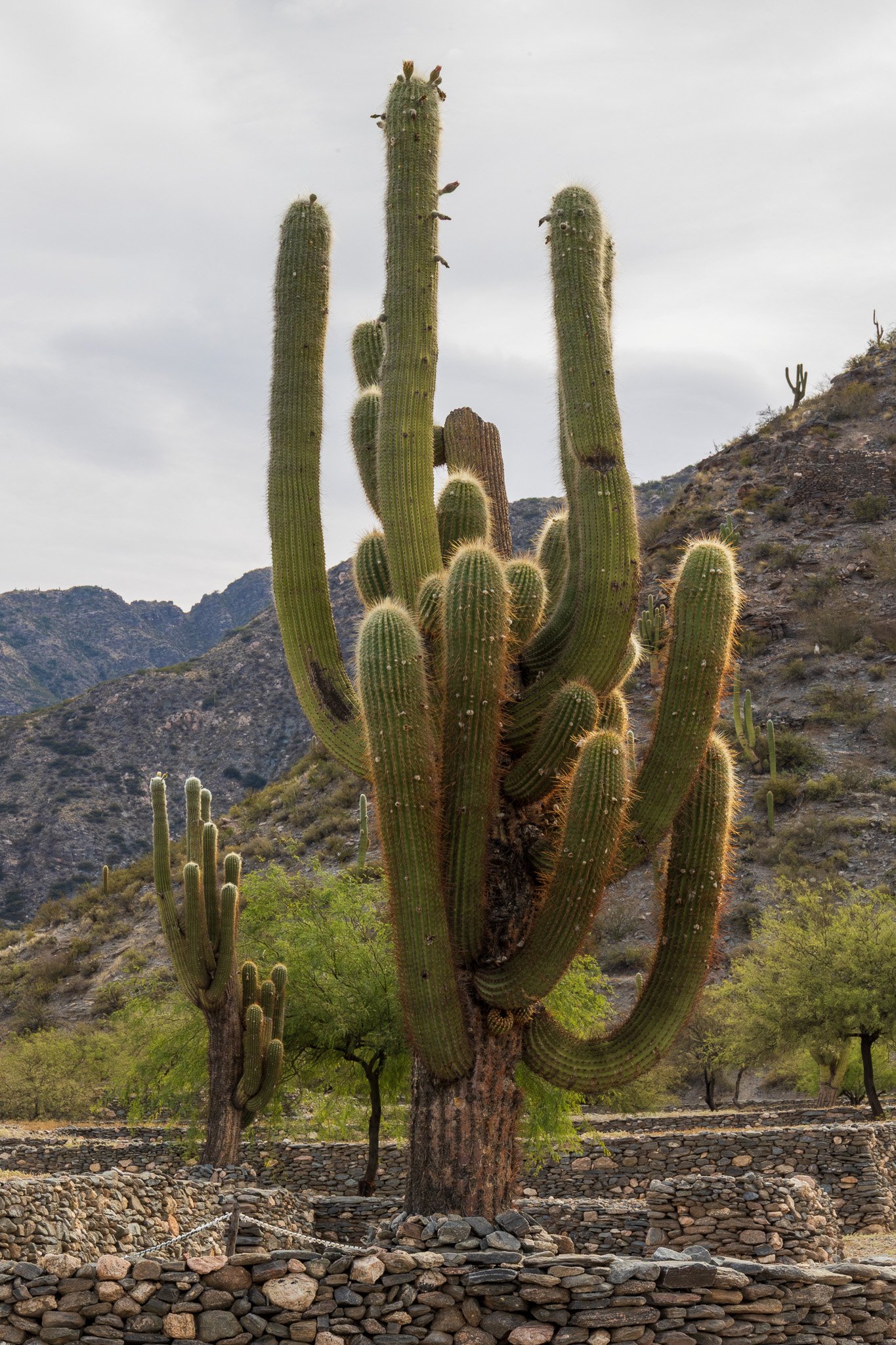 apr25_elpenoncafayate28.jpg