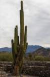 apr25_elpenoncafayate30_small.jpg