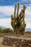 apr25_elpenoncafayate31_small.jpg
