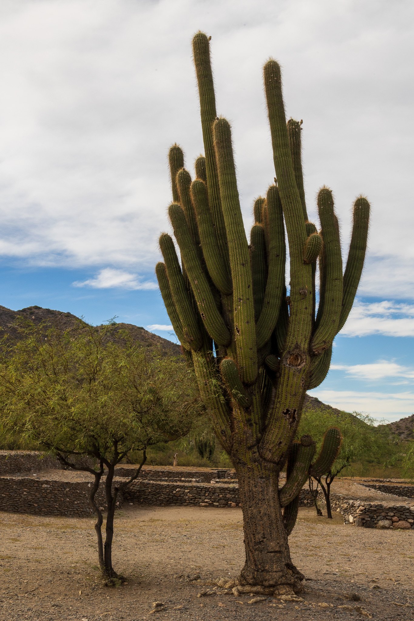 apr25_elpenoncafayate32.jpg