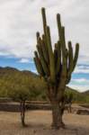 apr25_elpenoncafayate32_small.jpg