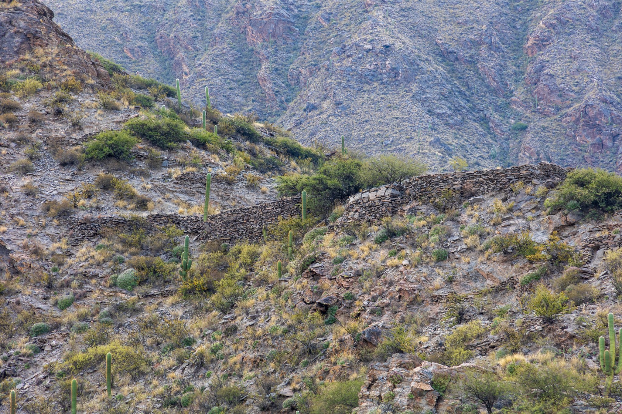 apr25_elpenoncafayate37.jpg