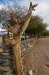 apr25_elpenoncafayate39_small.jpg