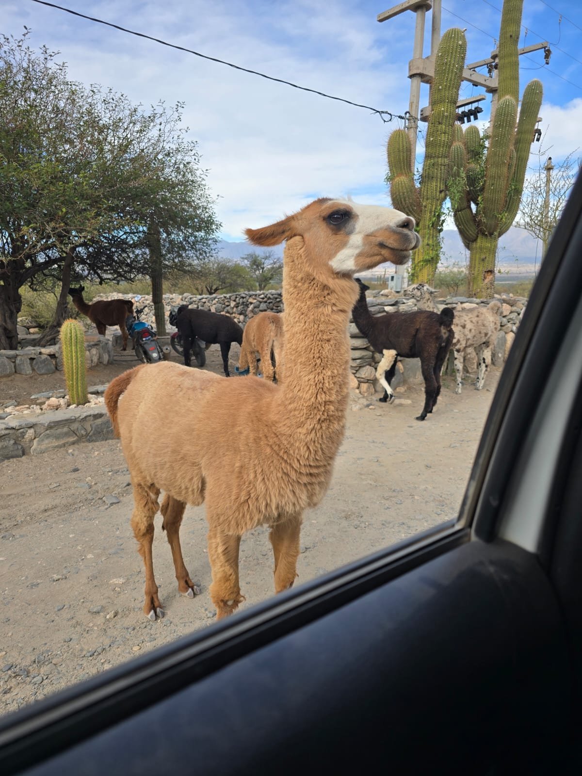 b10apr25_elpenoncafayate.jpg