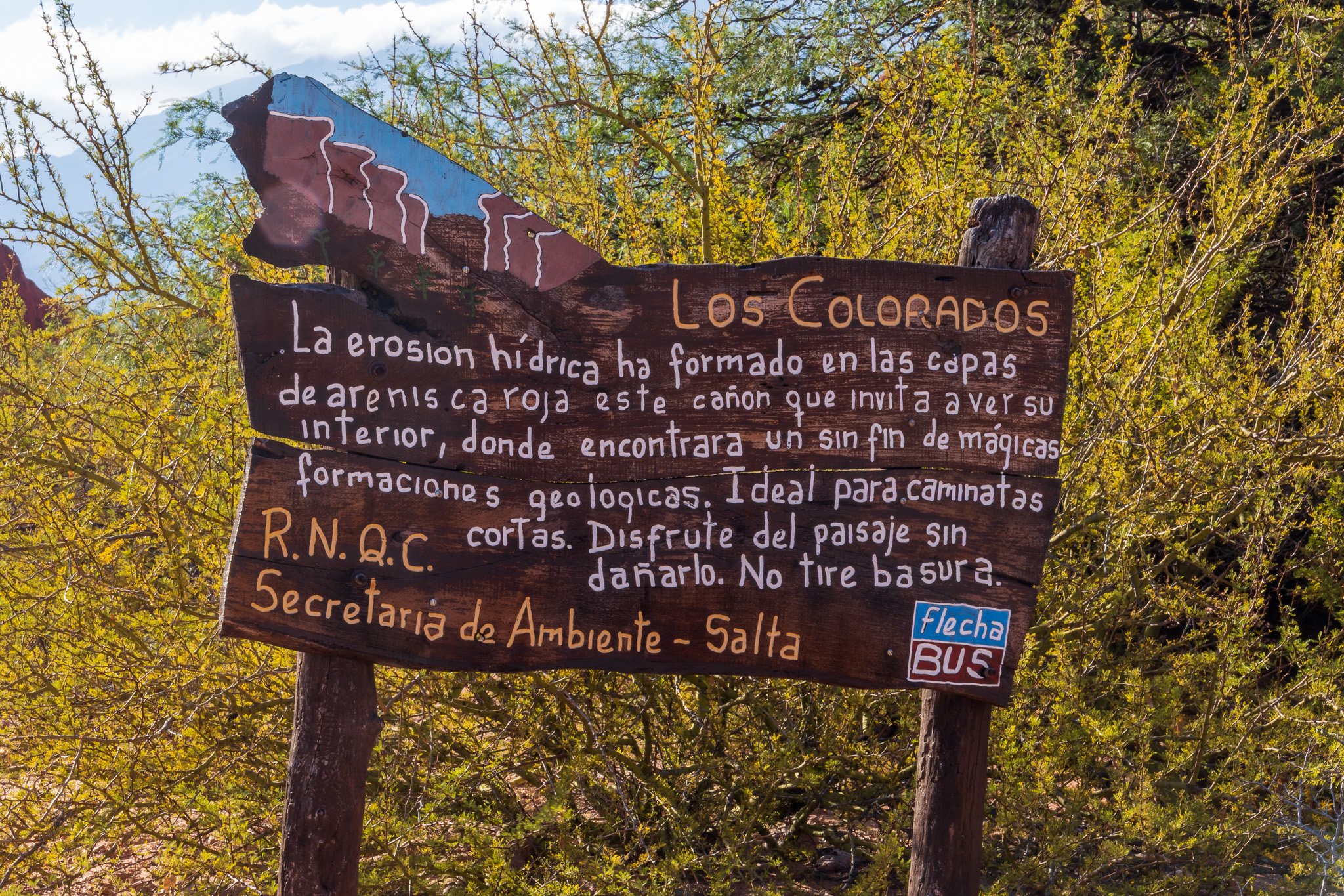 apr25_cafayatemolinos.jpg